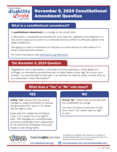 Preview of the November 5, 2024 Constitutional Amendment Factsheet.