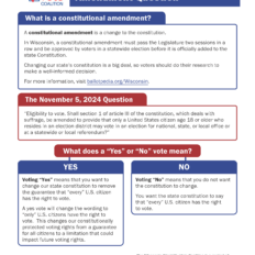 Preview of the November 5, 2024 Constitutional Amendment Factsheet.