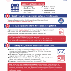 Preview of the first page of the Make Your Plan to Vote 2026 factsheet.